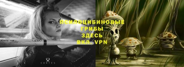 твердый Абинск