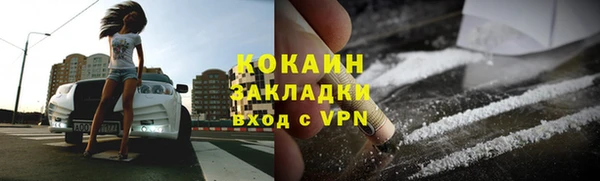 сатива Пересвет