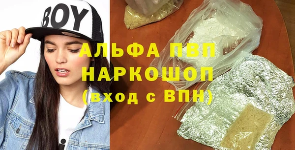 сатива Пересвет