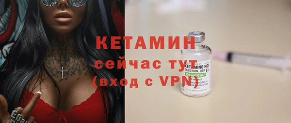 сатива Пересвет