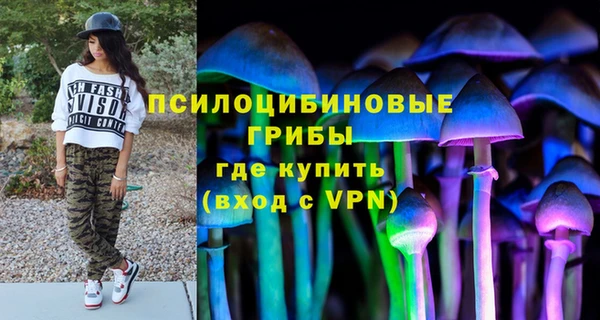 ECSTASY Пестово