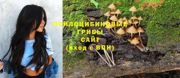 сатива Пересвет